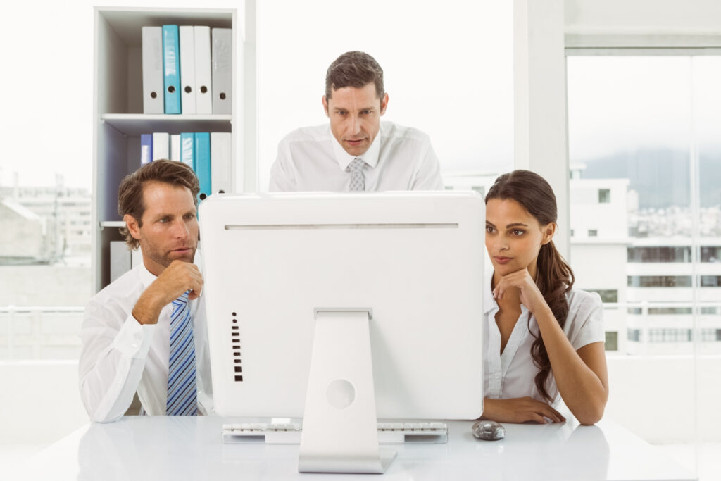 interim business controller